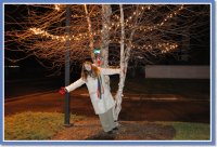 DSC_0121 null